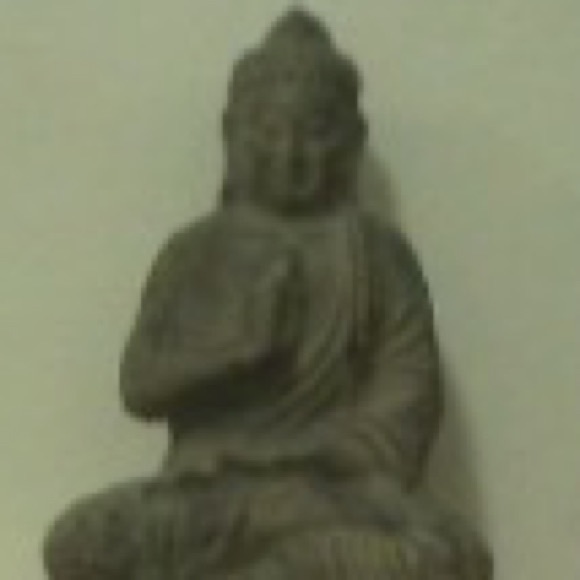 Meet your Posher, Donald - Picture 2 of 3